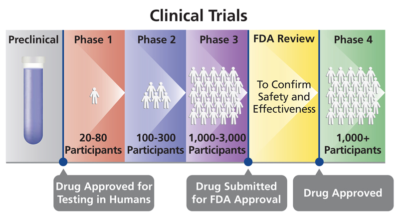 ¿Cuáles son las 4 fases de aprobación de la FDA?